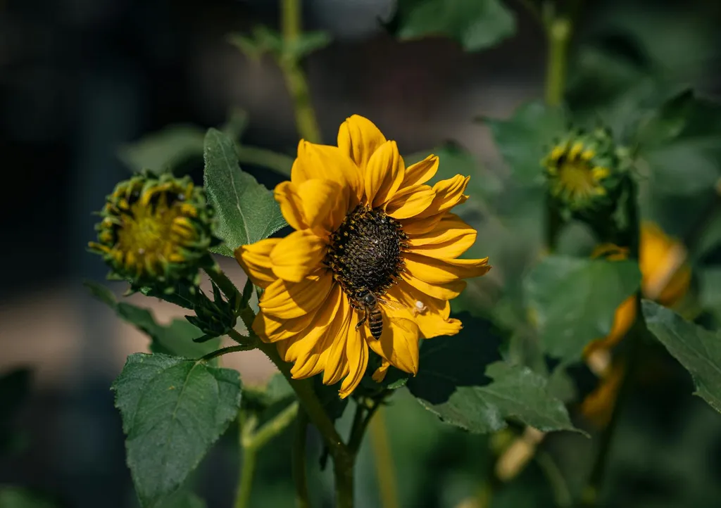 Moteur Immo : sourcer, analyser et intégrer les annonces immobilières pour investisseurs et pros