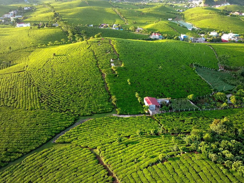 Astuce pour acheter un terrain agricole : guide pratique pour investisseurs et futurs agriculteurs